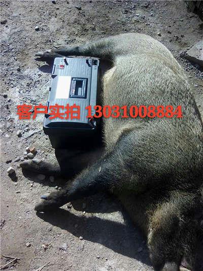 定西野猪捕猎机智能型省电安全