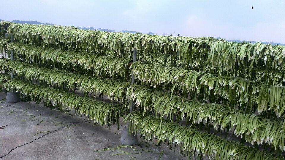 重庆小面专用宜宾芽菜