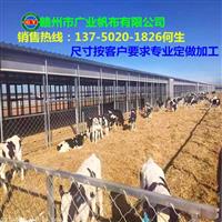 牛场卷帘布图片 牛棚卷帘布价格厂家