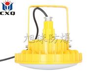 防爆LED吸顶灯直销，户外防爆吸顶灯安装